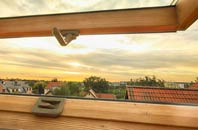 rated Cowlinge roof window companies